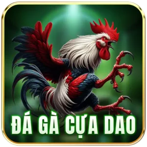 icon da ga cua dao new88