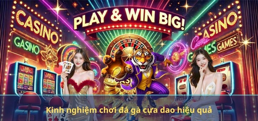 Kinh nghiệm chơi đá gà cựa dao hiệu quả