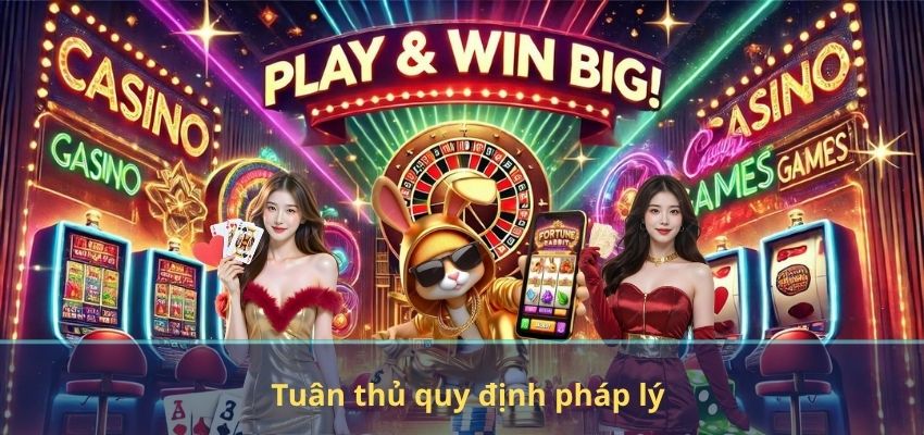 Tuân thủ quy định pháp lý