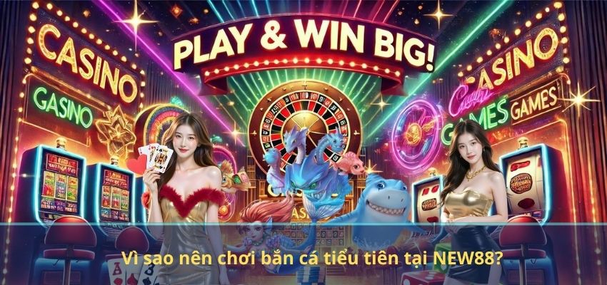 Vì sao nên chơi bắn cá tiểu tiên tại NEW88?